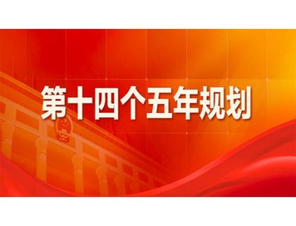 网站名称为“十四五”规划建言献策 